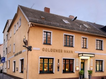 照片: Goldener Hahn